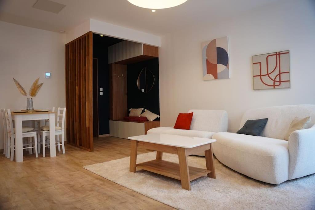 Bel Appartement Centre-Ville Σαιντ-Ετιέν Εξωτερικό φωτογραφία